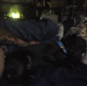 Meet your Posher, Kim